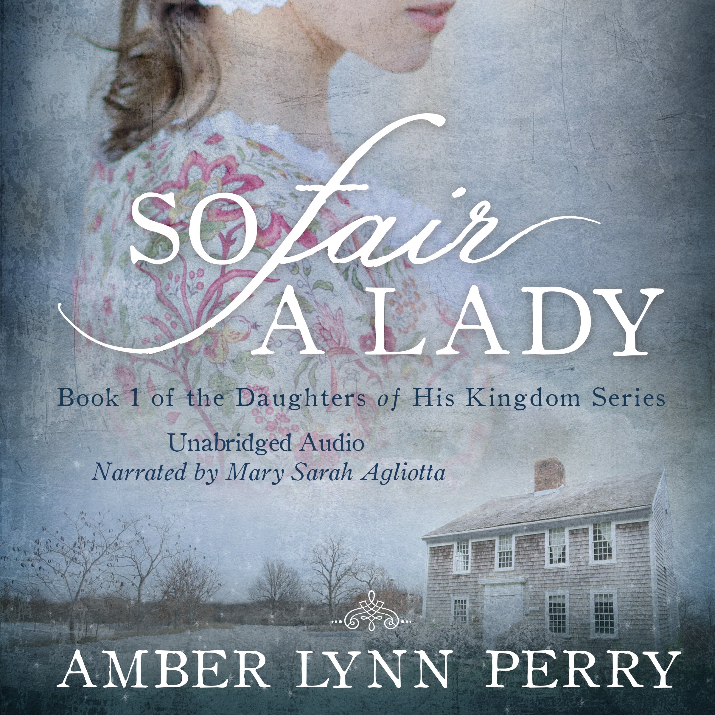 Cover art for So Fair a Lady