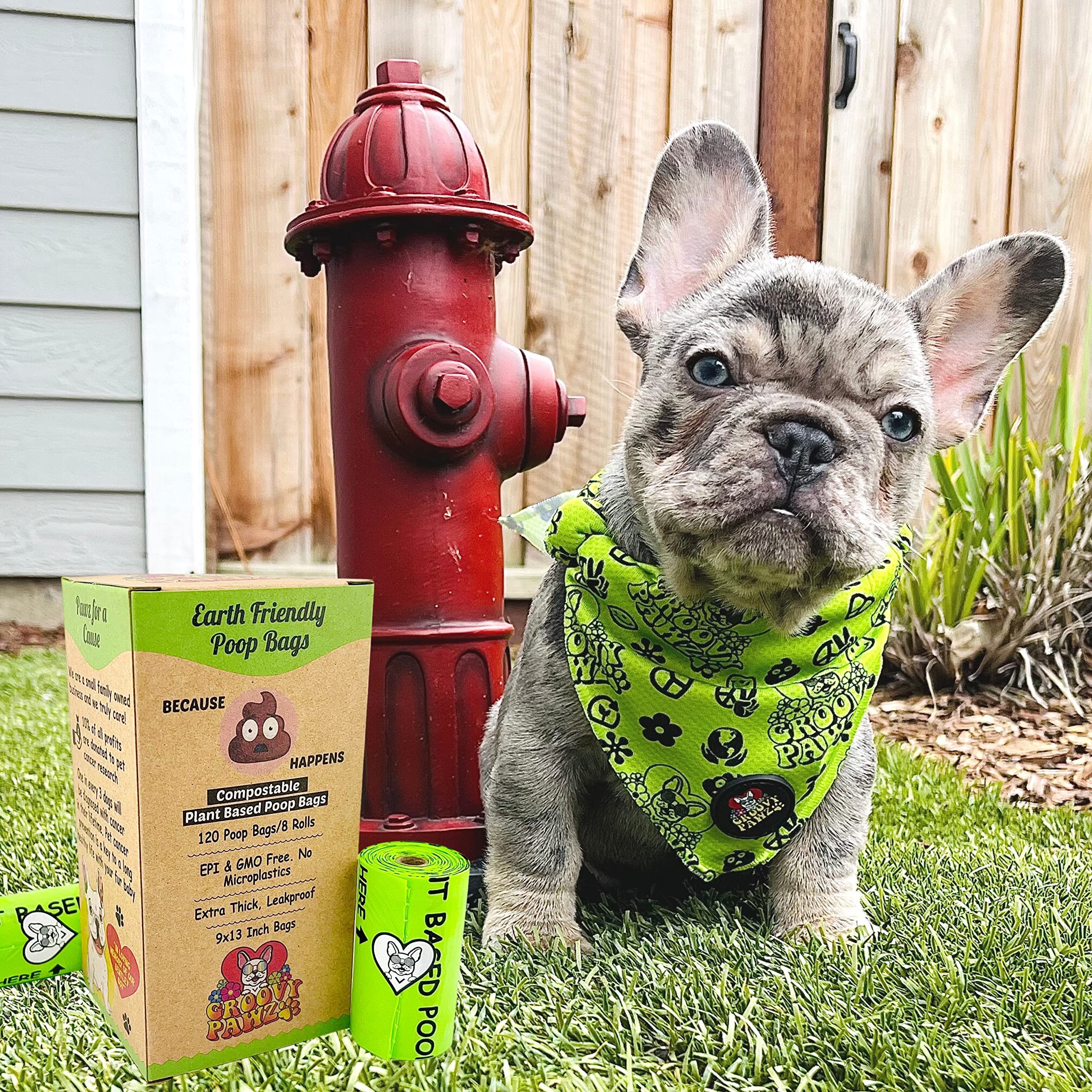 Bolsas compostables certificadas para excrementos de perro, 10% a caridad, bolsas para excrementos de perro a base de plantas, 120 unidades, ecológicas y respetuosas con el medio ambiente,