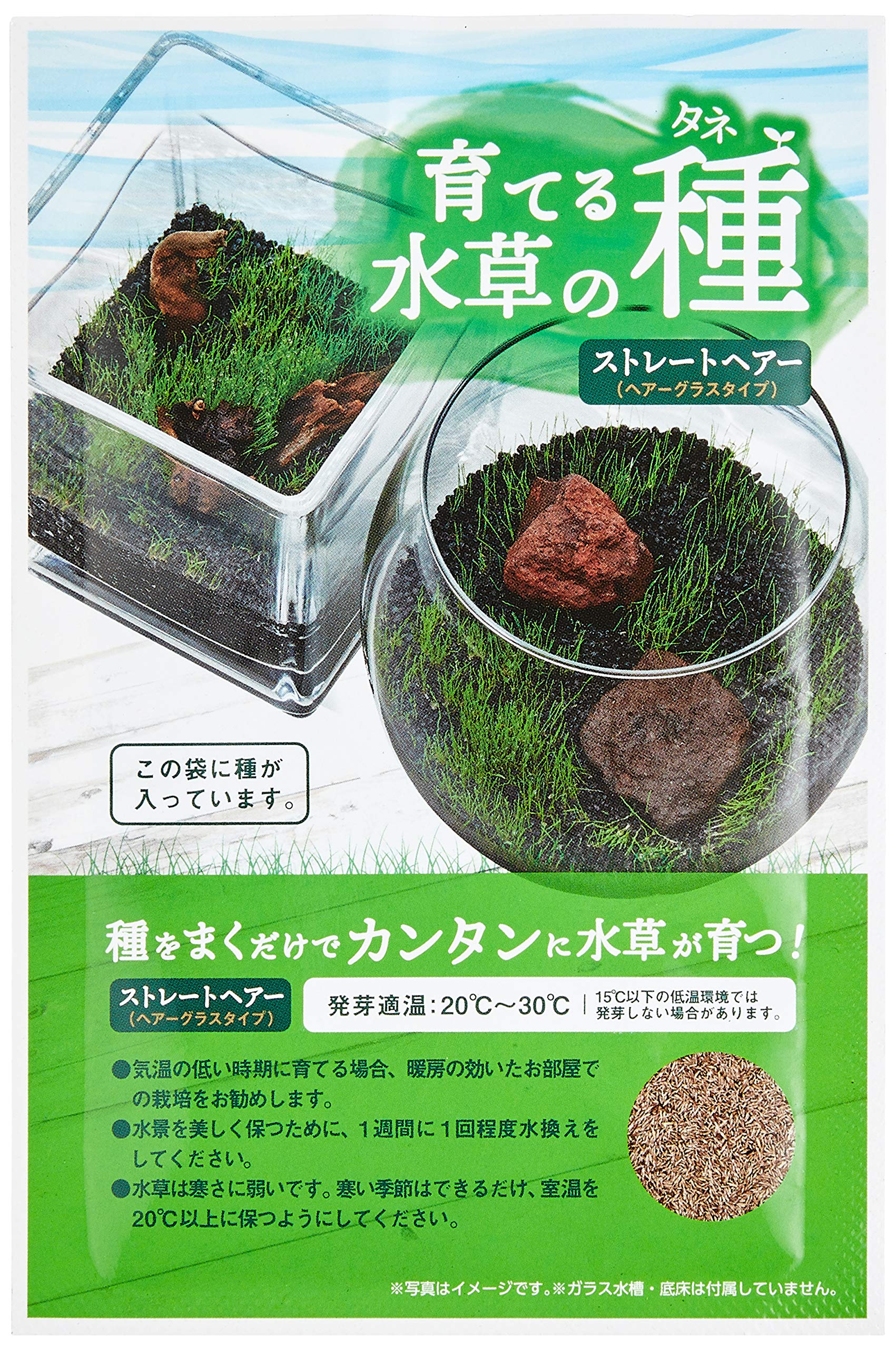 Amazon.co.jp: Nisso Growing Aquatic Plant Seeds Straight Hair