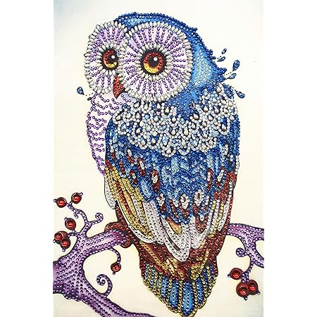 5D DIY Diamant Peinture Par Kit De Numéro Diamond Painting | FindTheDeal