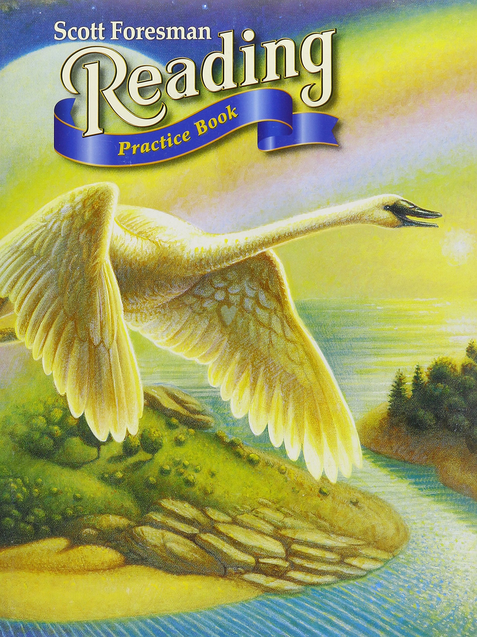 Scott Foresman Reading: Grade 5 Paperback – 30 Jun. 2002