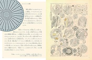Amazon.co.jp: 珪藻美術館 ちいさな・ちいさな・ガラスの世界