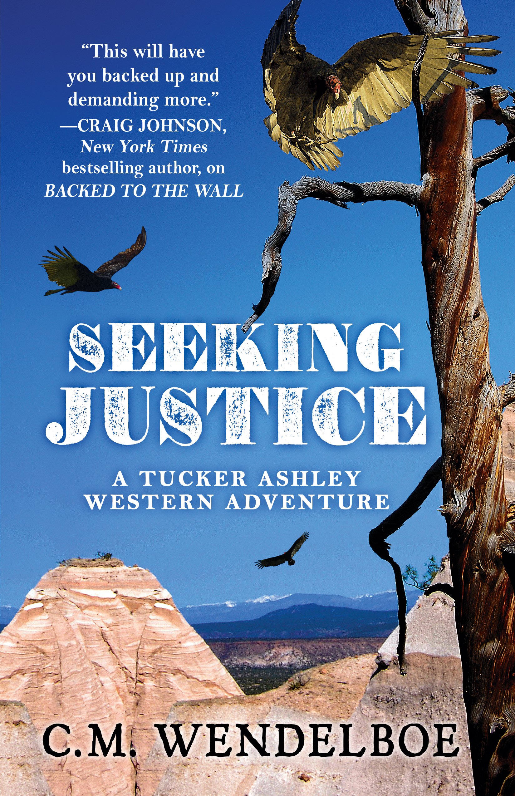 Buy Seeking Justice (Tucker Ashley Western Adventure) โ BookShops.in