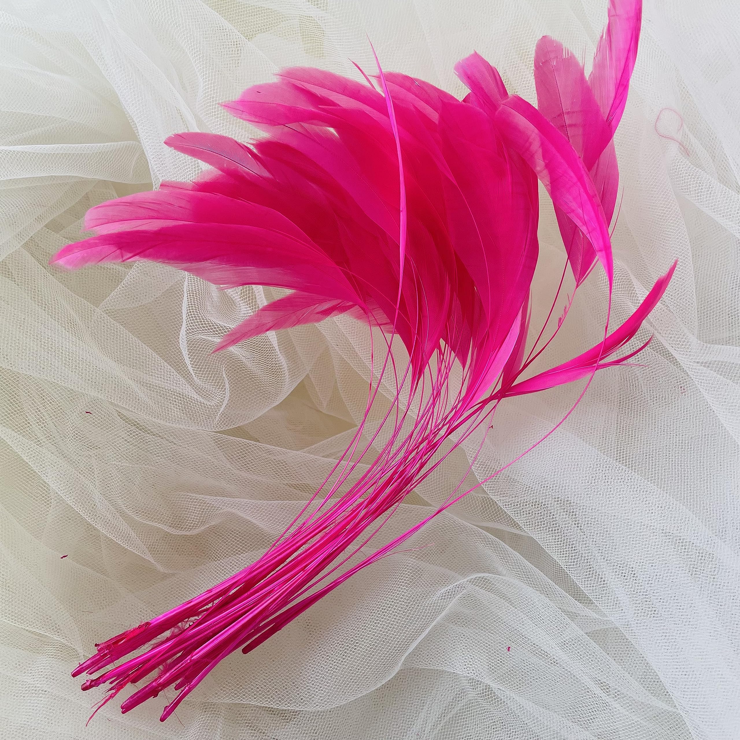 69 Colours Choices 5/7" Loose Stripped Coque Feathers for Millinery Hats Trimming Fascinators Craft Decorating Dancing Costume Making (Raspberry #20, 25pcs) — image 1