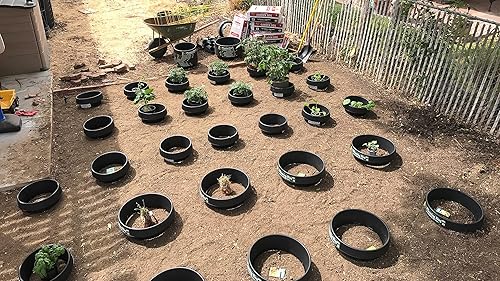 Miniatura 5 de WaterRounds Paquete de 6 anillos de plantación de 16 pulgadas. Protección de paisaje y jardín, redondos, bordes. Retención de agua para regar