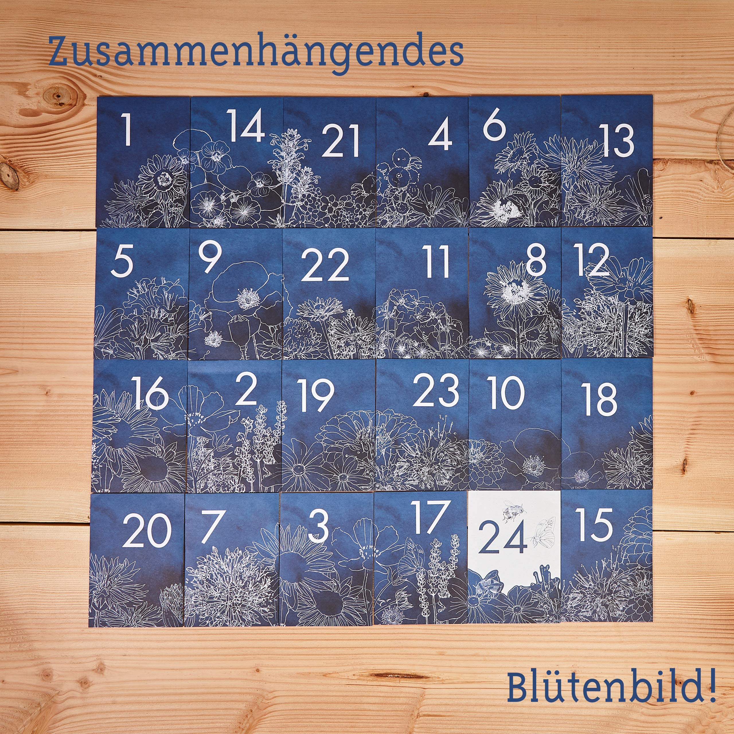 Saatgut Adventskalender 2025: Samen Adventskalender mit Blumensamen - adventskalender Garten DIY Advent Kalender mit Blumen Samen - Ideal Geschenke für Gartenliebhaber - Neuheit 2025 von OwnGrown