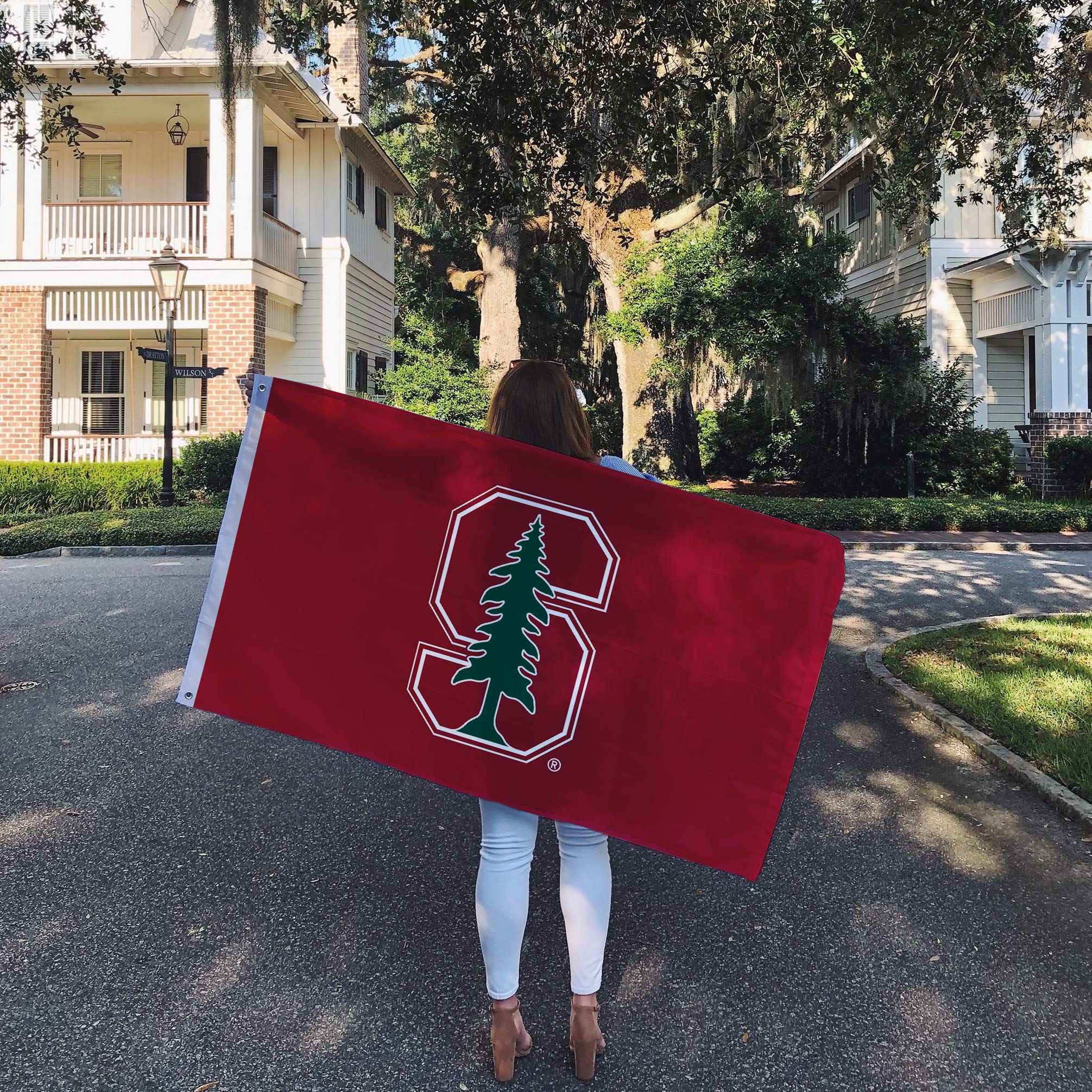 Stanford University Desert Cactus Flag - 3x5 Feet Outdoor & Indoor Cardinal Banner