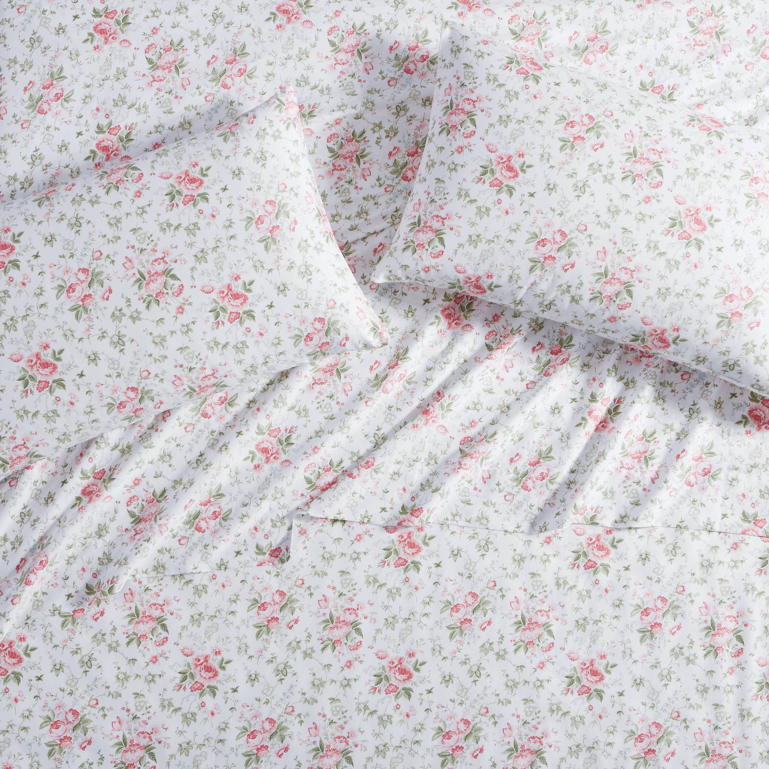 Laura Ashley Home - Set di federe standard, biancheria da letto in rasatello di cotone, liscio e resistente alle pieghe (corallo ciliano, 2 pezzi)