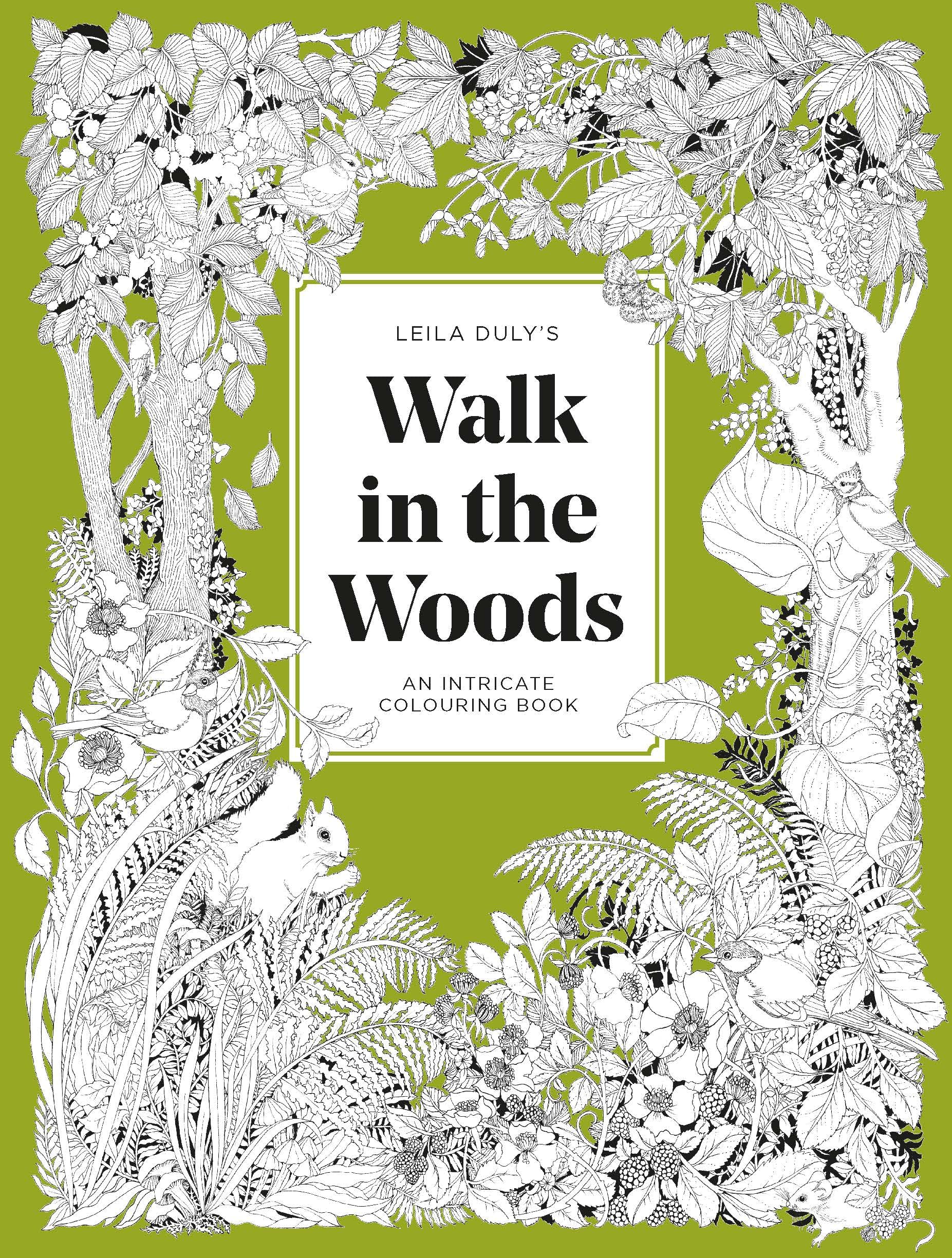 A Walk in the Woods: An intricate colouring book