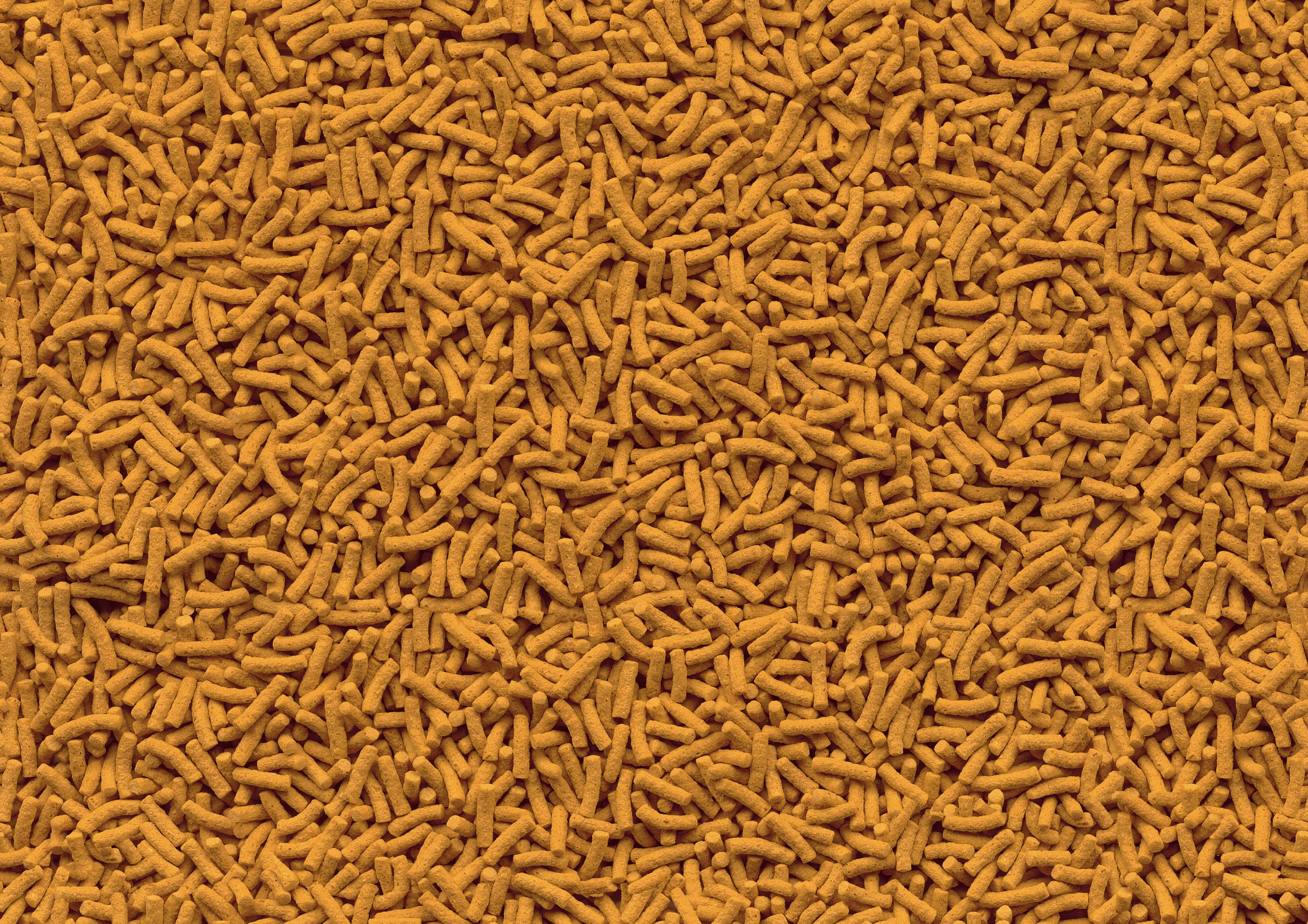 Tetra Pond Koi Sticks Hauptfutter (in Form hochwertiger, schwimmfähiger Futtersticks speziell für Koi entwickelt), 50 liters Beutel