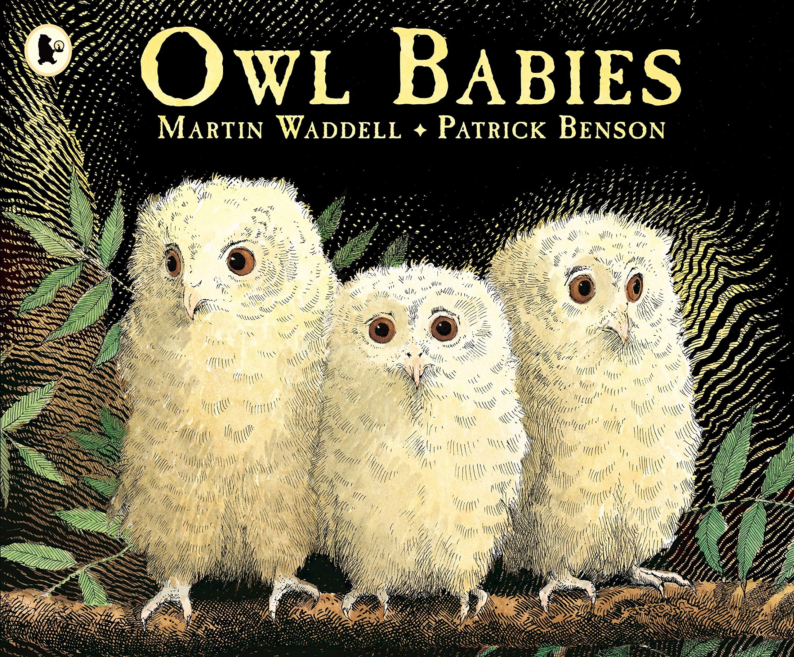 Owl Babies: A beloved classic from the recipient of An Post Irish Book Awards’ Bob Hughes Lifetime Achievement Award