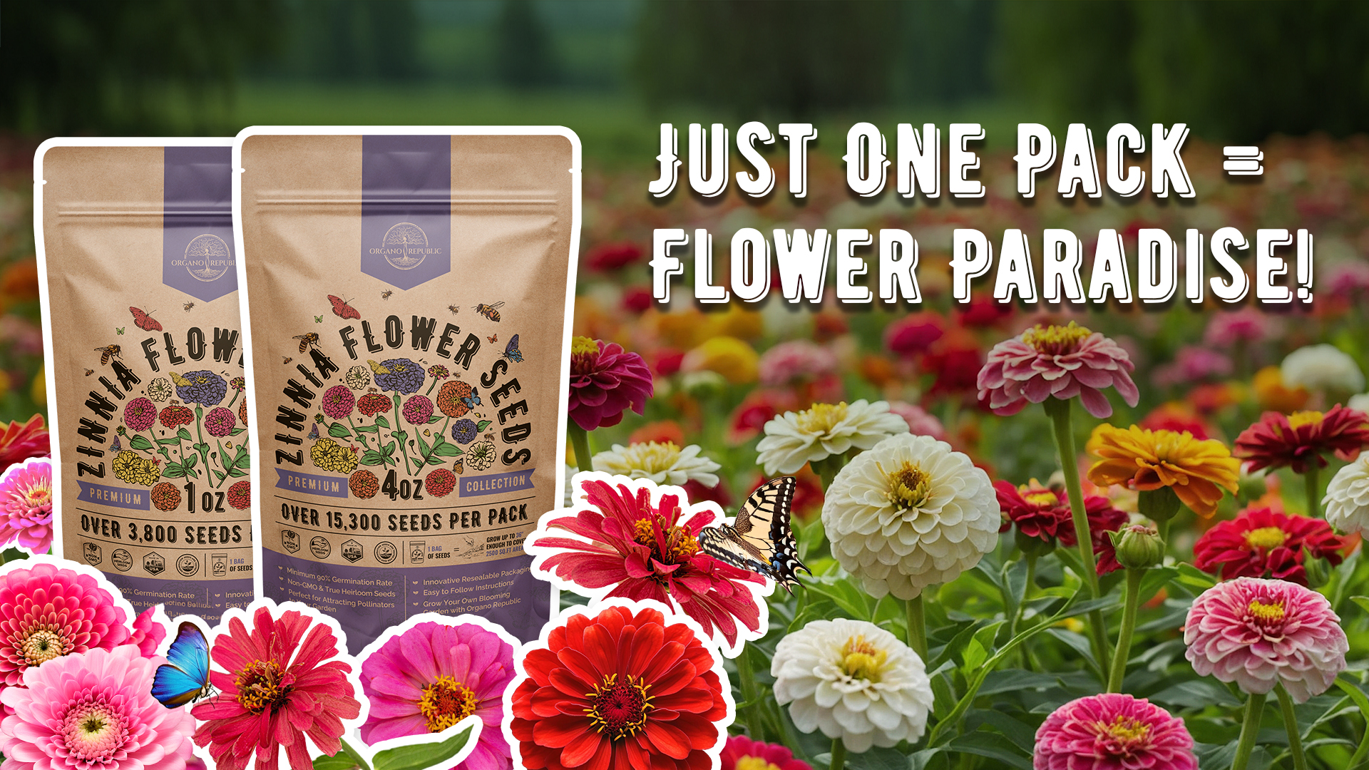 Amazon.com : Zinnia Seeds Pack 1 oz - Over 3,800 Non-GMO Heirloom