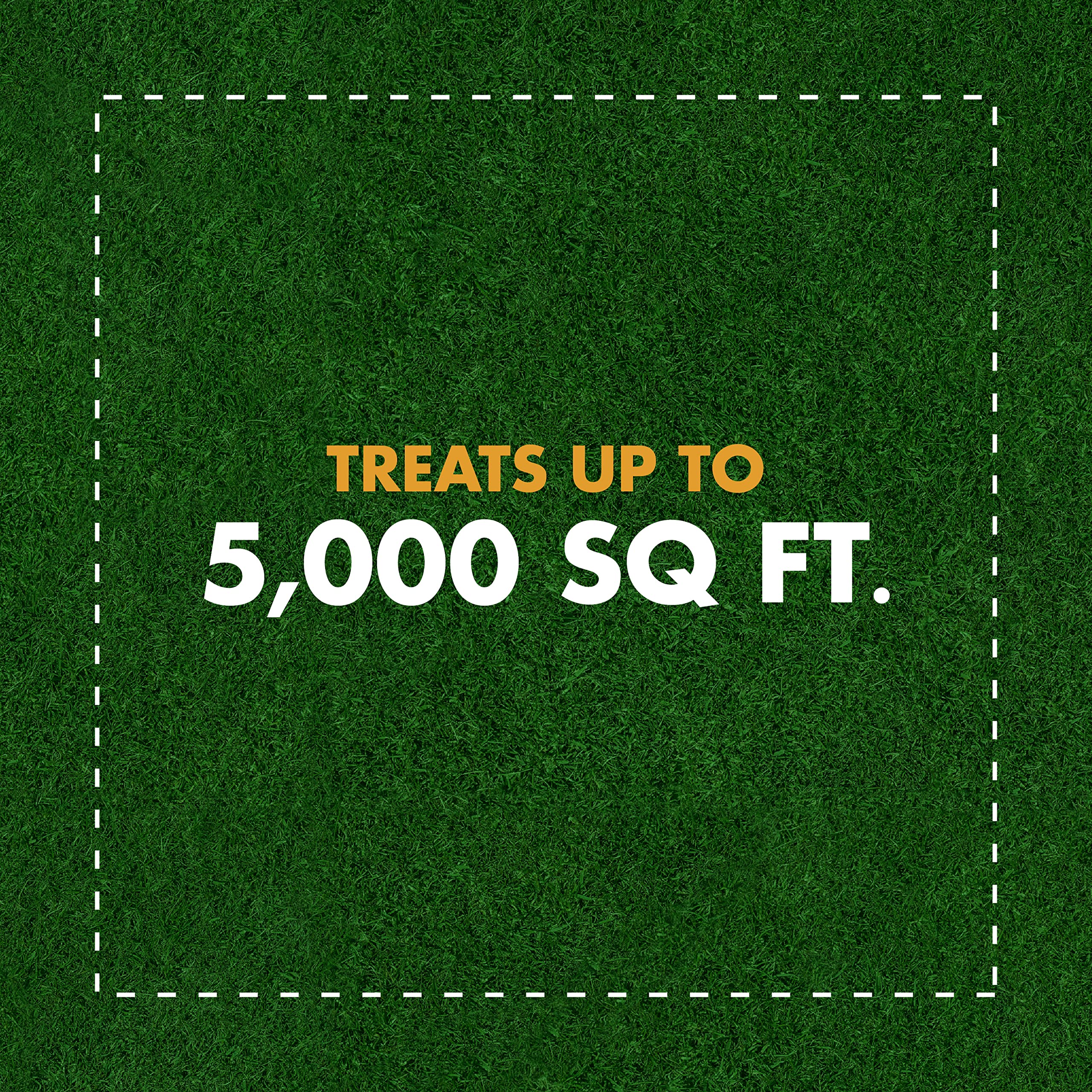 Spectracide Weed Stop For Lawns + Crabgrass Killer Concentrate, 32-oz, 6-PK