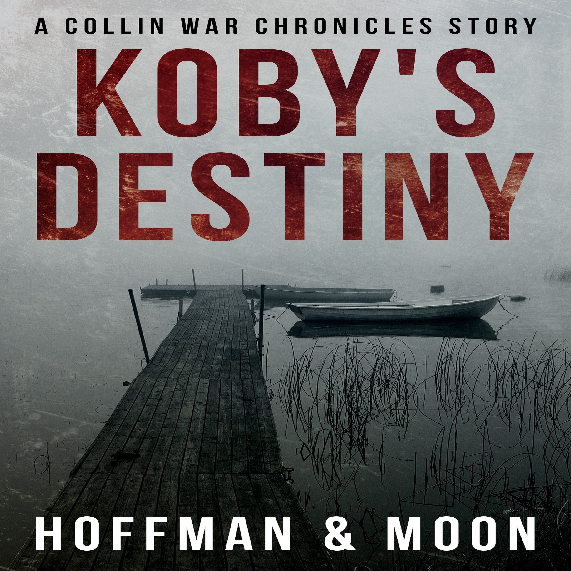 Cover art for Koby's Destiny