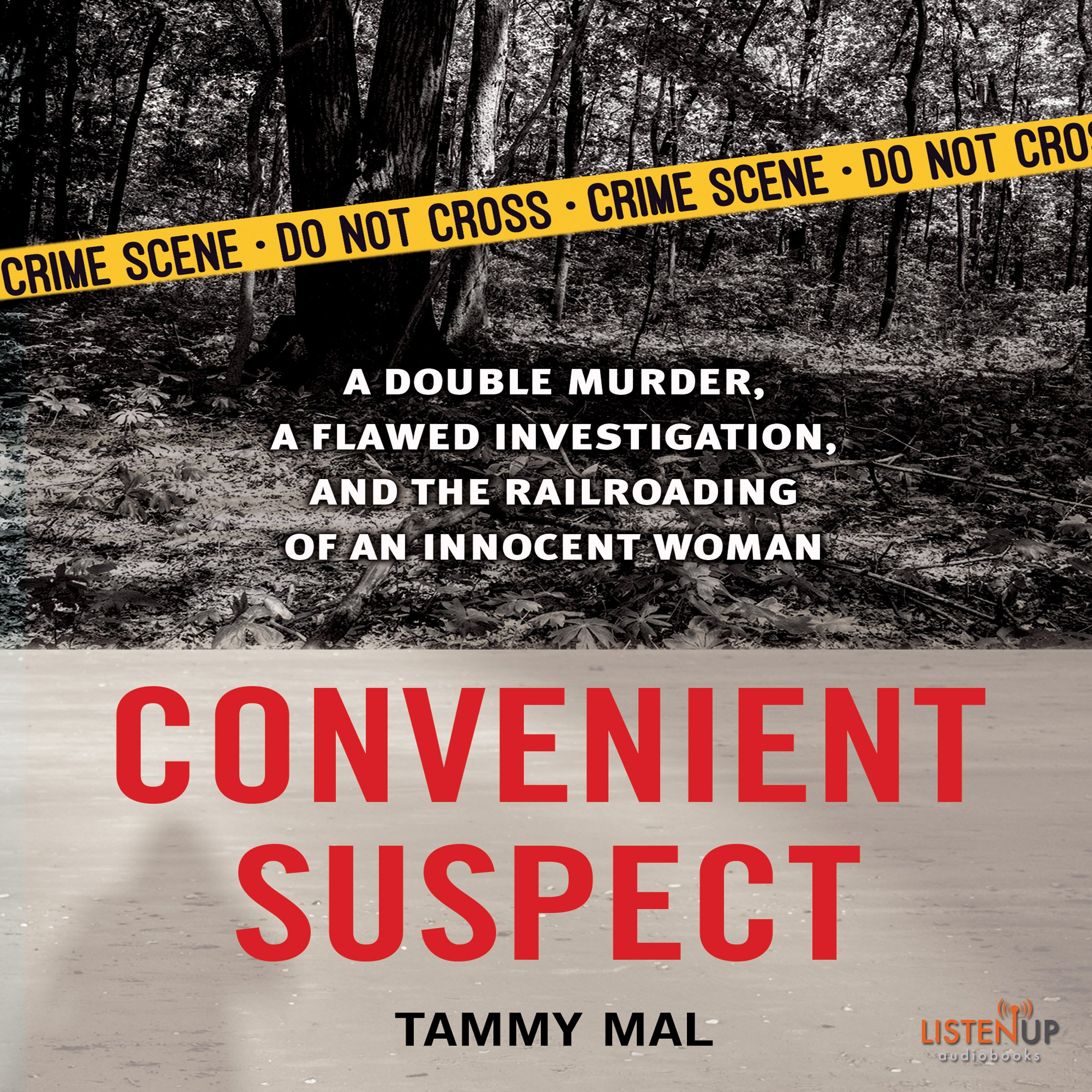 Cover art for Convenient Suspect