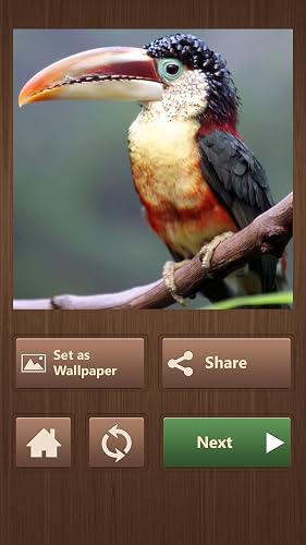 Jigsaw Puzzles Games - Thumbnail 5