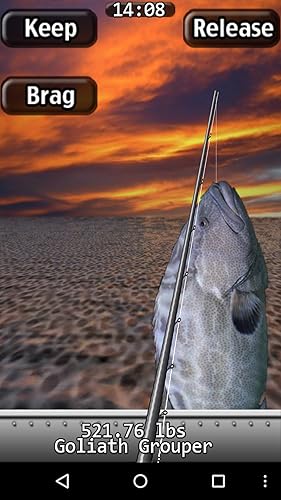 iFishing Saltwater