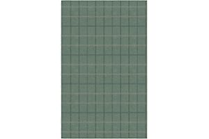 Brumlow Mills Green Plaid Rug: Cozy Comfort Meets Stylish Appeal