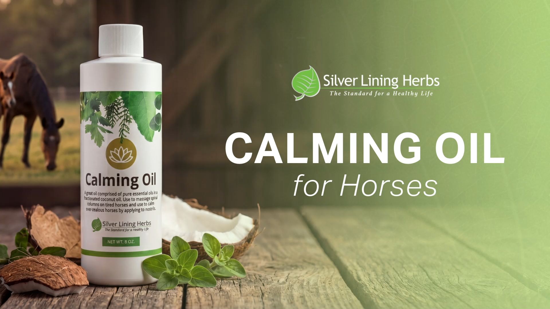 Amazon.com : Silver Lining Herbs Calming Oil for Horses - Pure