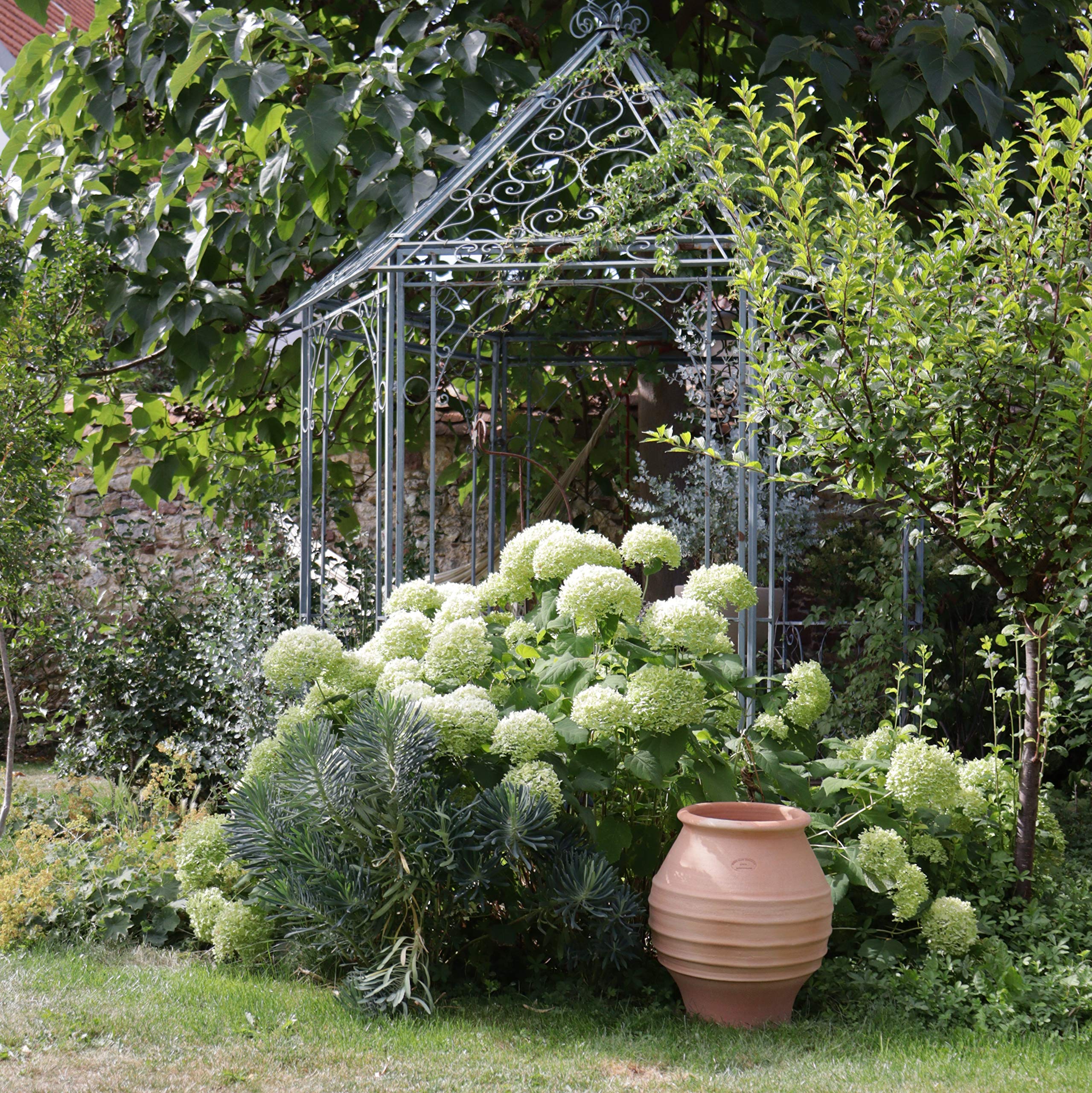Palatina Werkstatt Esclusiva anfora in terracotta, 50 cm, 100% fatto a mano, anfora resistente all'inverno, per giardino e casa