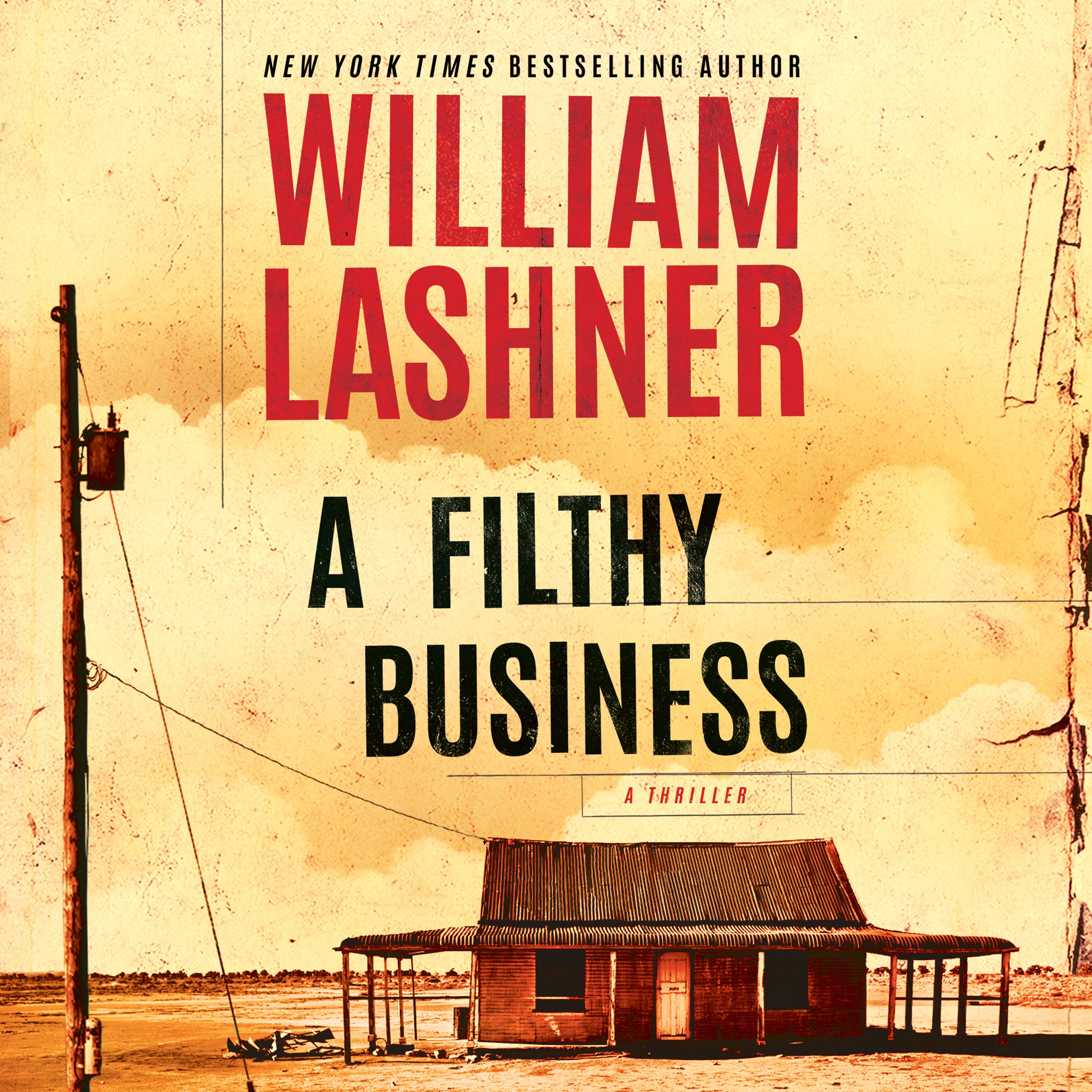 Cover art for A Filthy Business