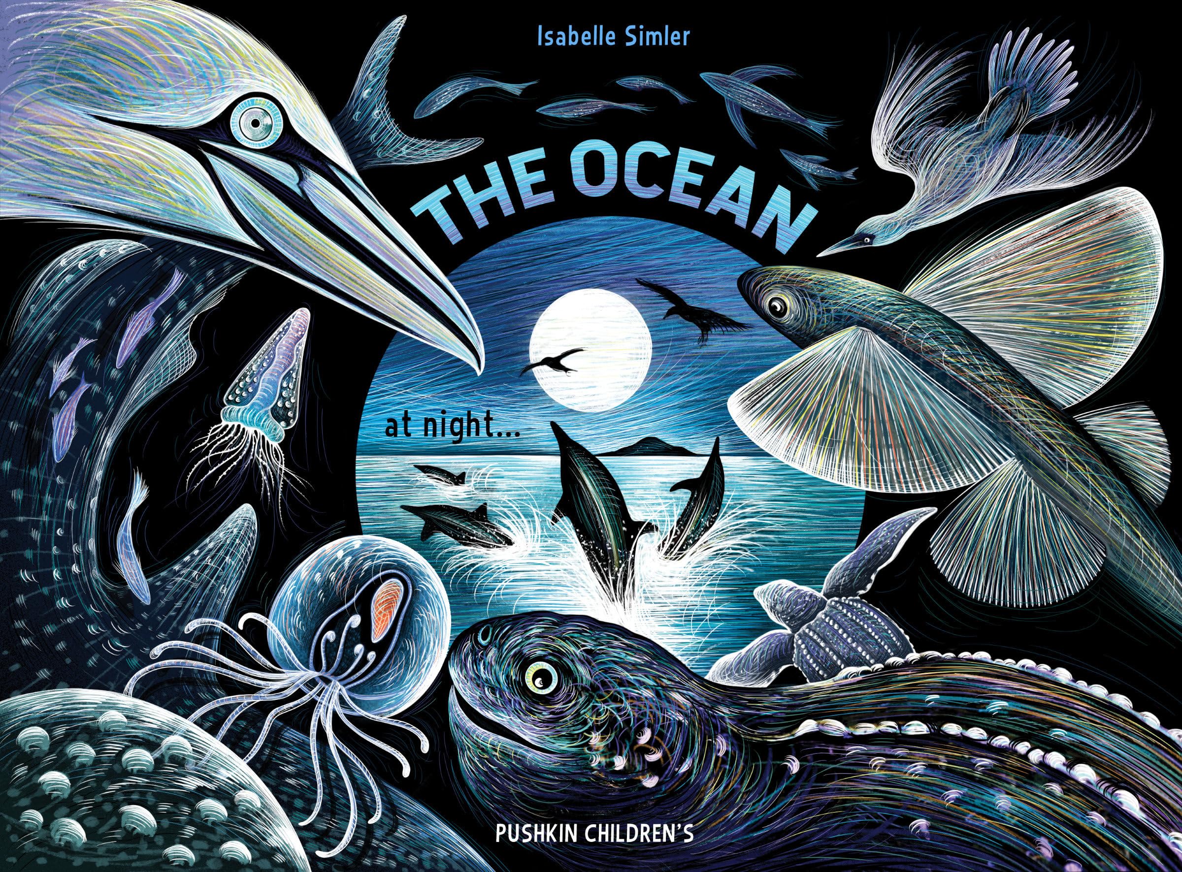 The Ocean at Night by Isabelle Simler (Hardback Book)
