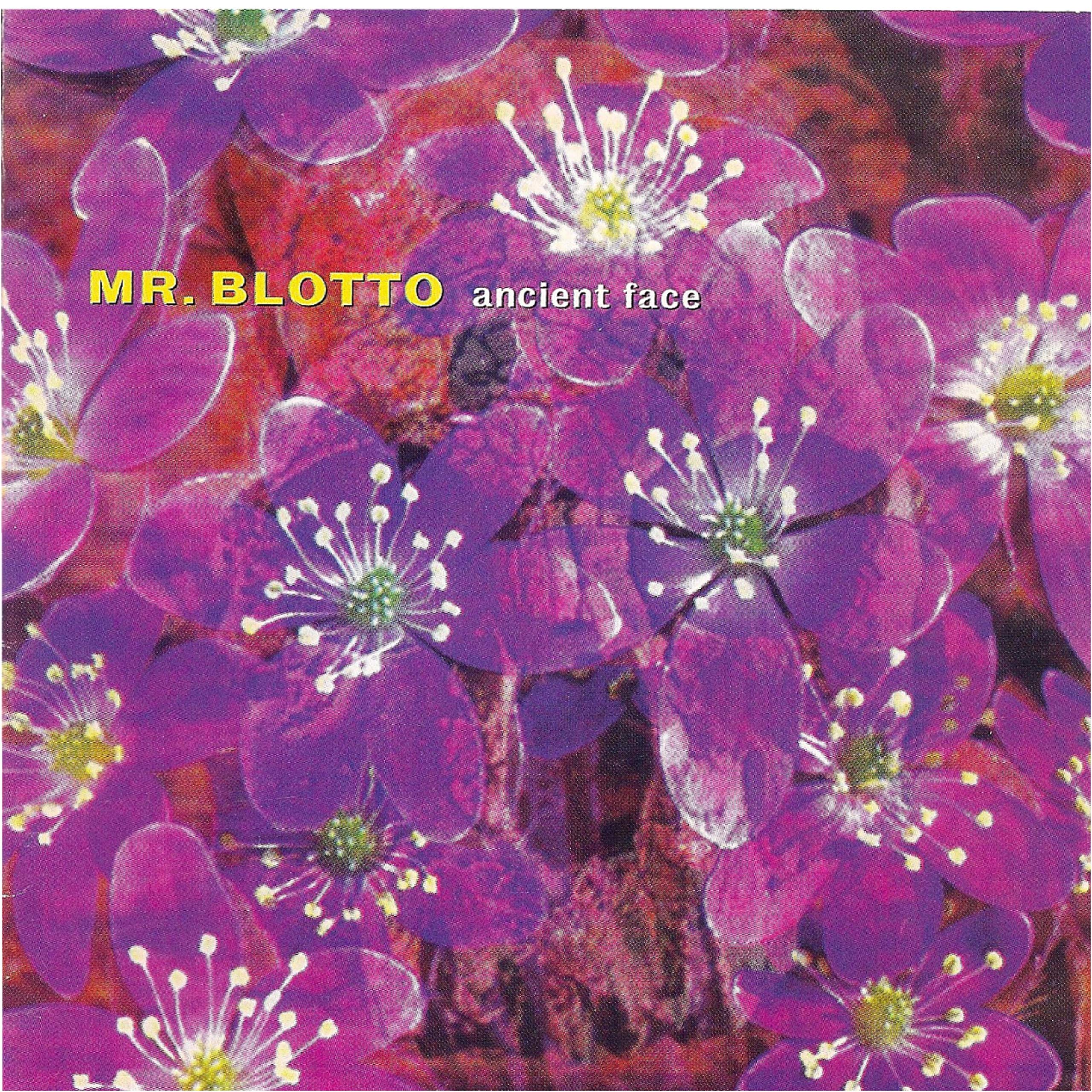 Mr. Blotto