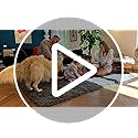 OLANLY 8x10 Machine Washable Large Area Rugs for Living Room, Bedroom, Soft Fluffy Shaggy Bedside Rug, Indoor Floor Carpet for Kids Girls and Boys, Dorms, Nursery, Home Decor Aesthetic, Beige