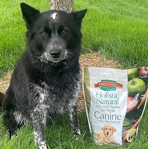 Miniatura 9 de Bench & Field Holistic Natural Alimento seco para perros adultos, receta de harina de pollo y arroz integral, bolsas de 6.6 libras (paquete de 4)