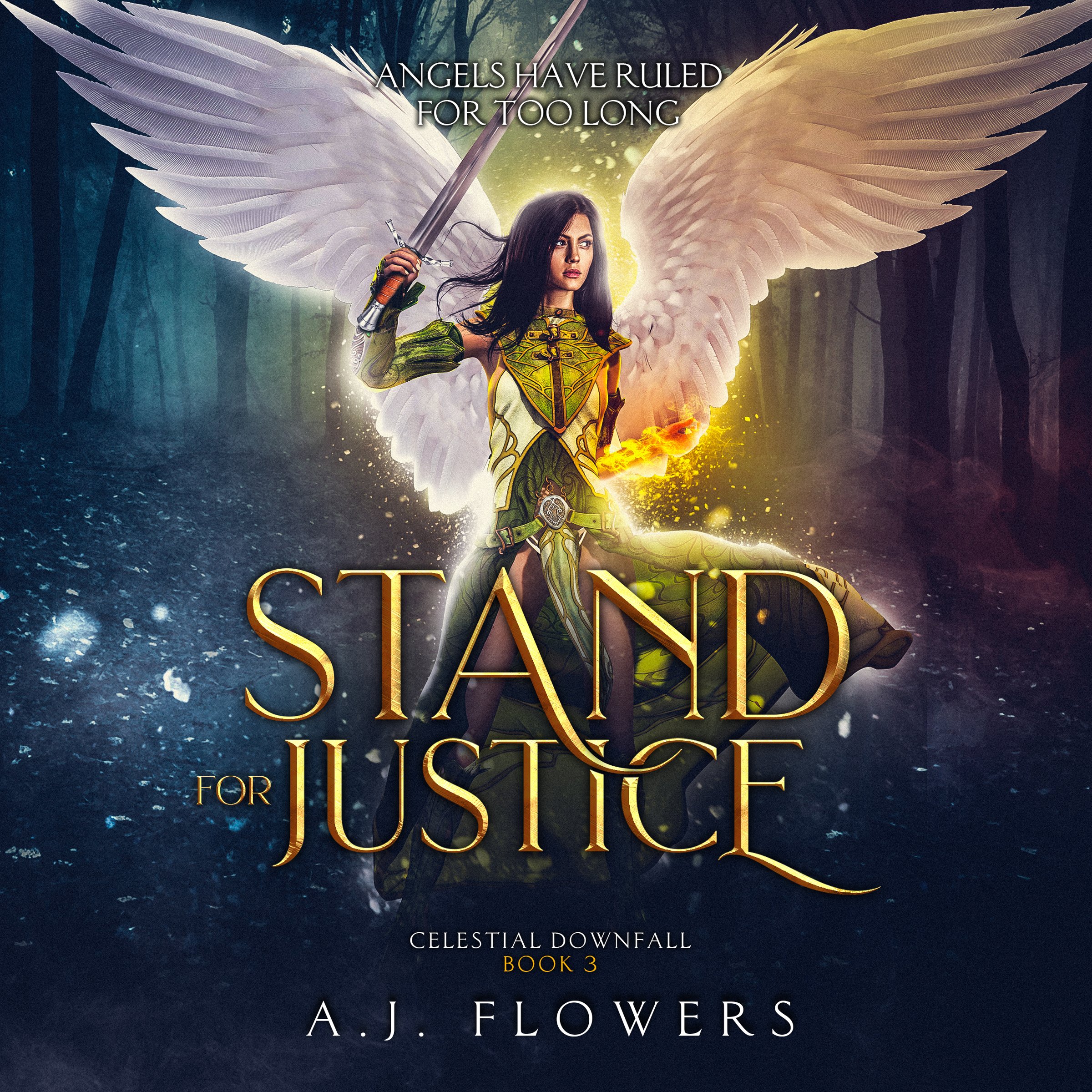 Cover art for Stand for Justice