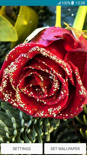 Papéis de parede ao vivo - Glitter Rose