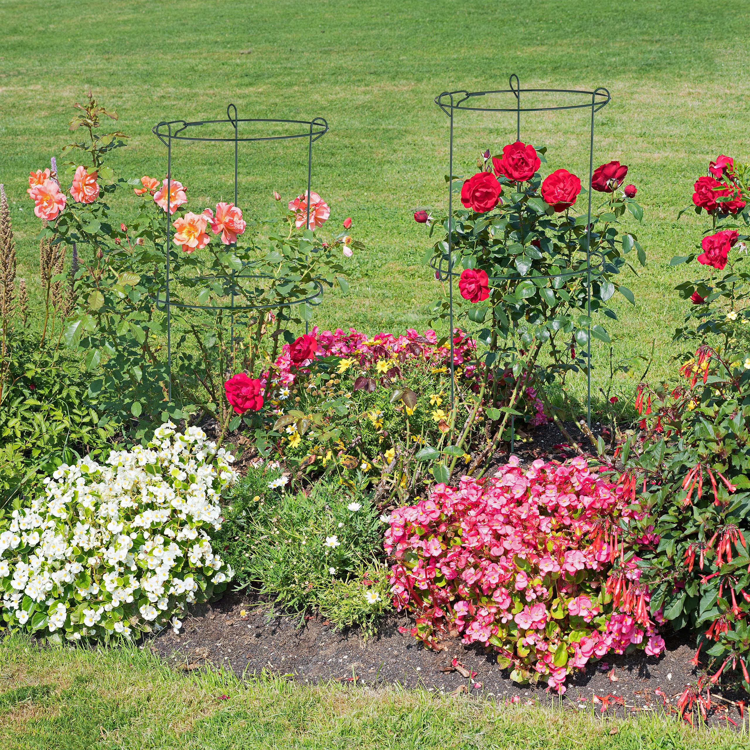 3 Tralicci Regolabili Per Piante - Supporto Rampicanti Per Pomodori, Cetrioli E Fiori - Foto 7
