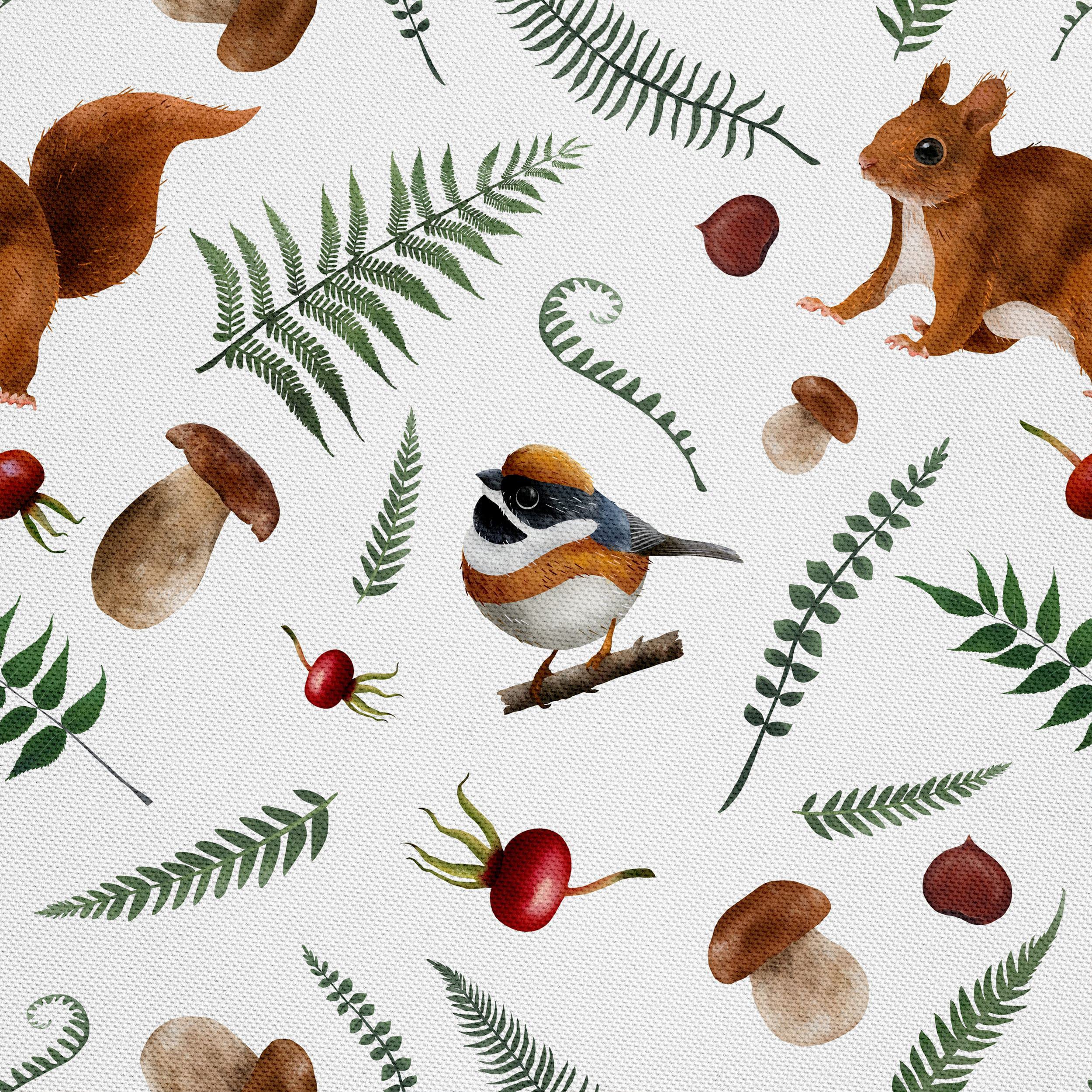 HEKO PANELS Oxford Fabric by Metre for Sewing Canvas Polyester Sewing Fabrics Decorative Material Water-Resistant Waterproof Non Transparent Squirrels Birds 1 Meter 155 x 100 cm 5 x 3 ft