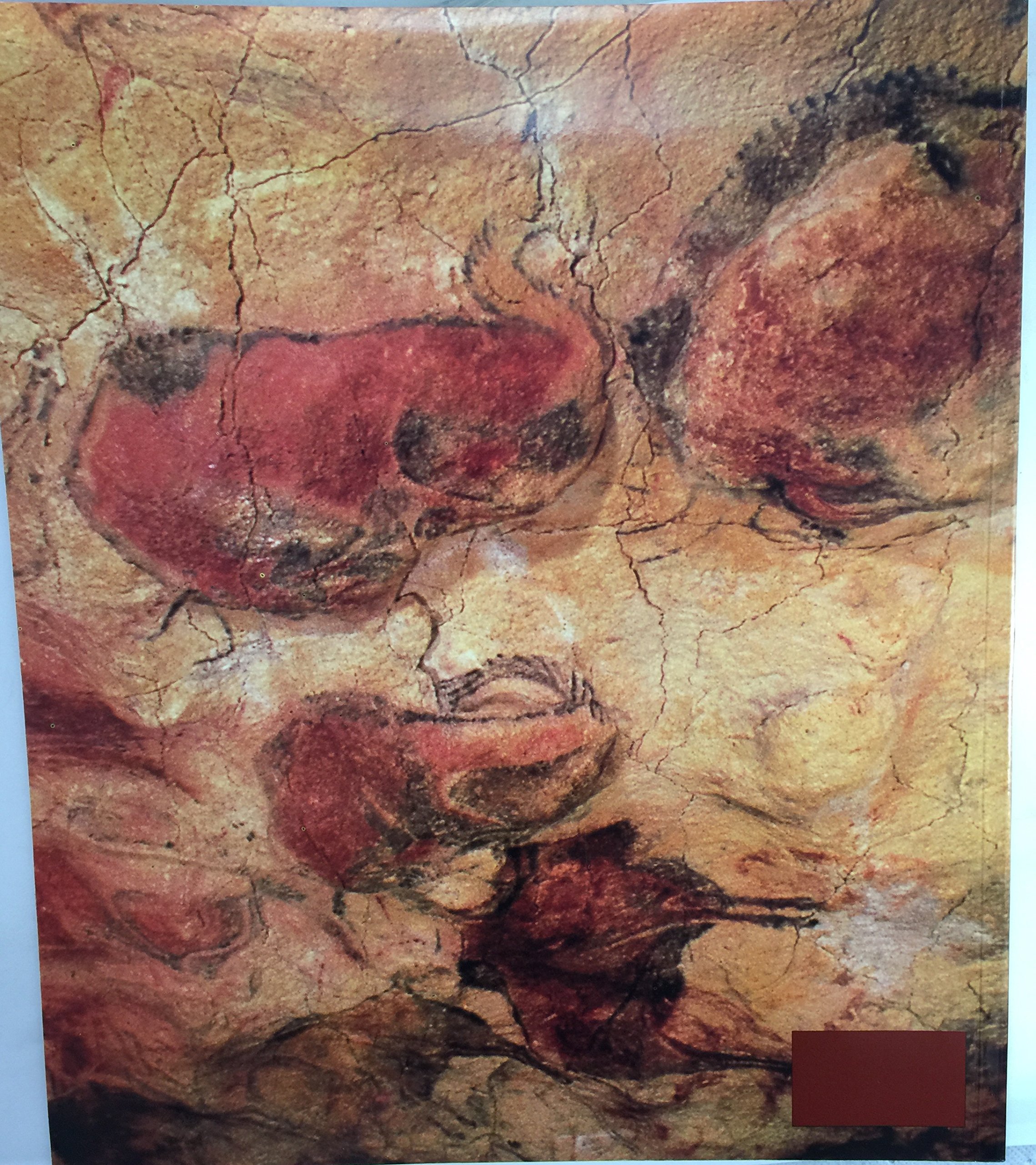 The cave of Altamira