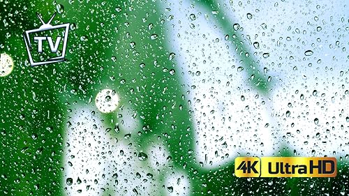 Gentle Rainfall – Cozy Window View Relaxation Screensaver For Fire TV – vue 9