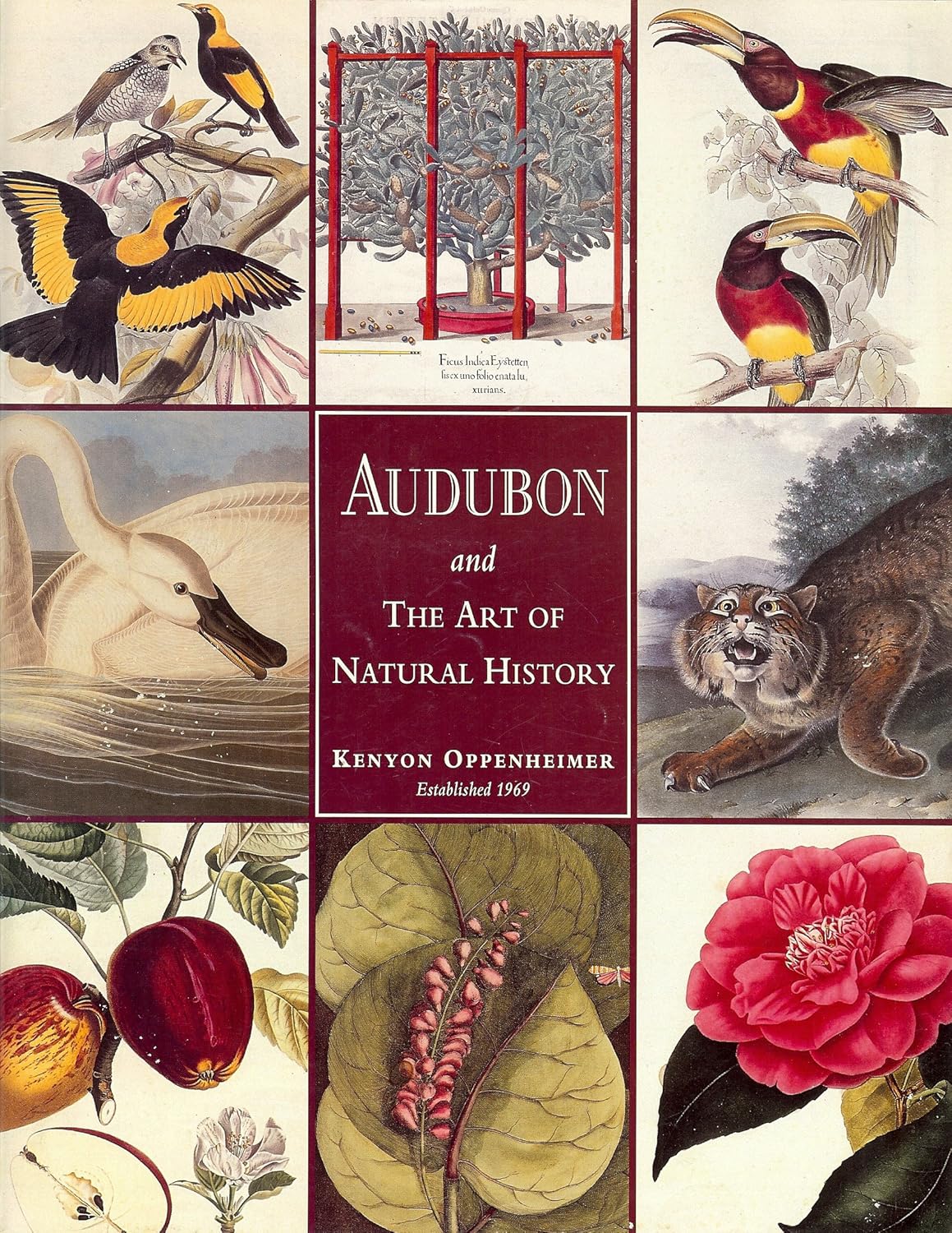 Audubon and The Art of Natural History Art Catalog (Havell Edition