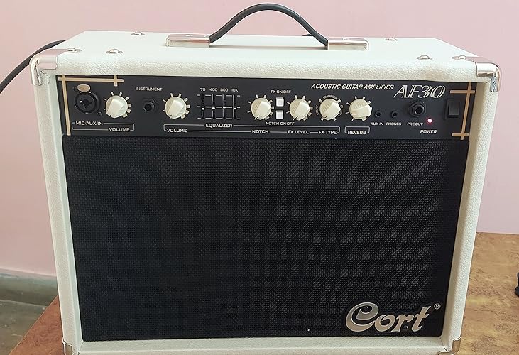 Cort Amp AF30 30W : Amazon.es: Instrumentos musicales
