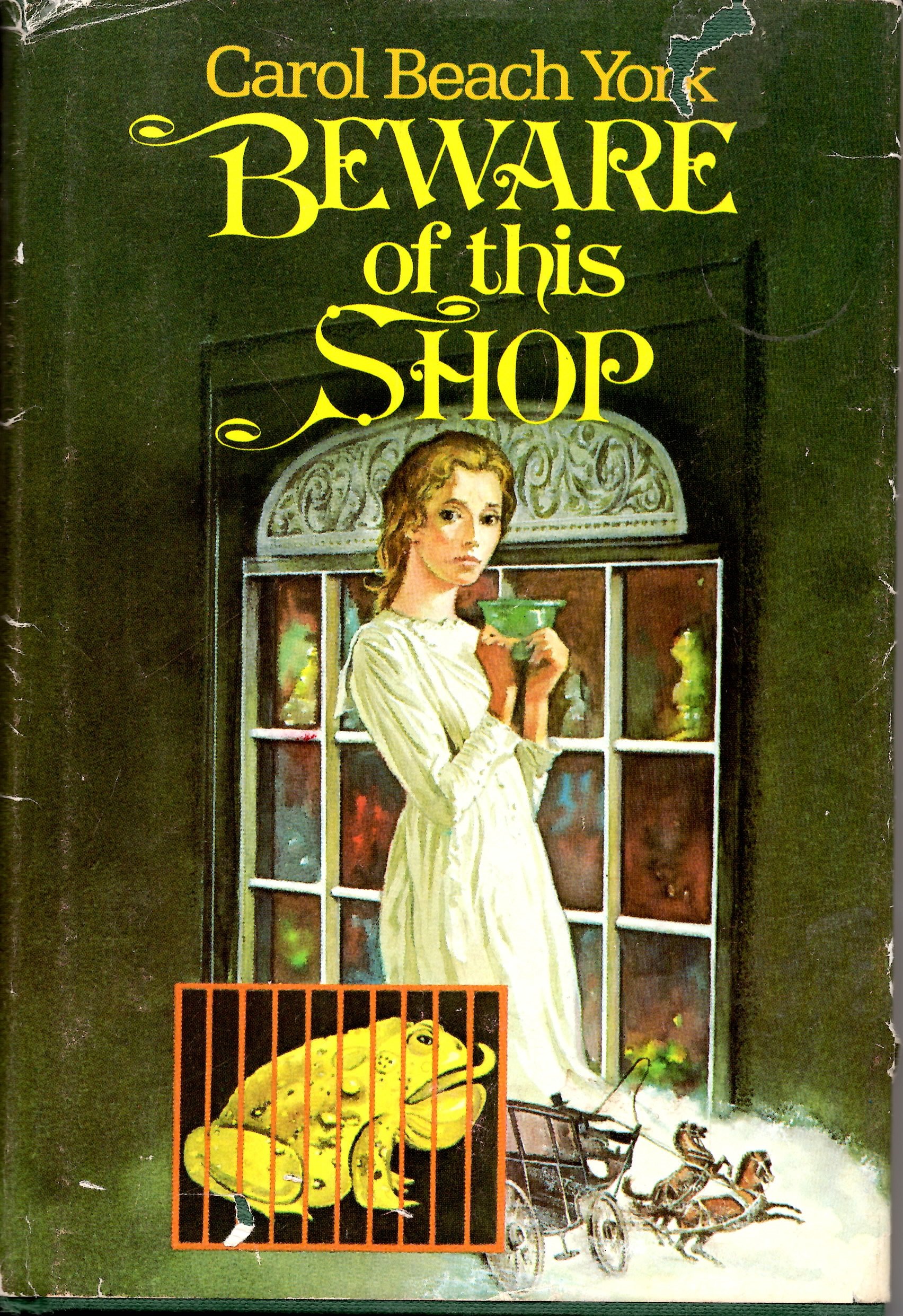 Cover of Beware of This Shop