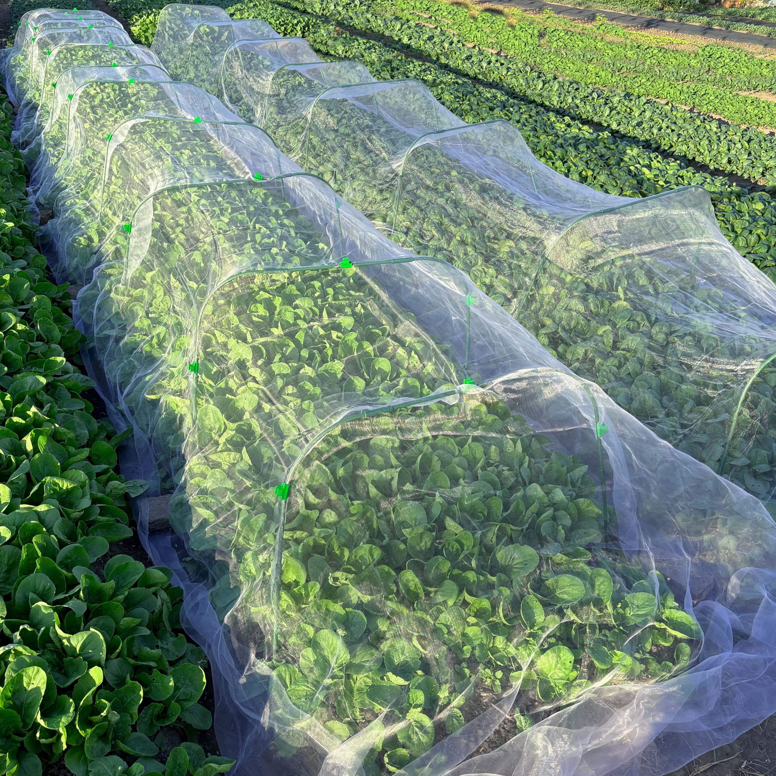 10 Sets 82x105cm Gartenbögen für Netze mit 30 Clips,Rostfreie,Abnehmbare Pfähle,Anzuchttunnelbogen für Gewächshausbögen,Gartennetzrahmen,PflanzeNstützrahmen für Grünpflanzen Gemüse