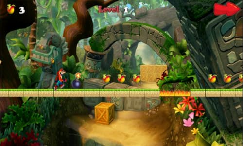 Temple Bandicoot Jungle Adventure