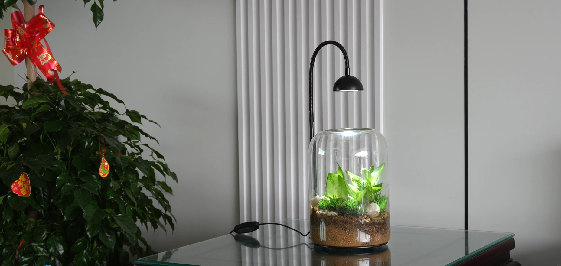 Amazon.com: Xyingshine Glass Plant Terrarium with LED Grow Light