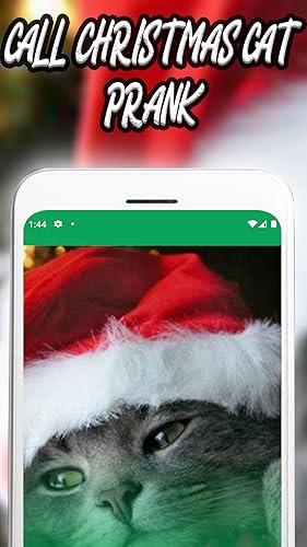 Insant Call from Chrismas Cat - video call with Chrismas Cat - Prank Video Call & Voice Call from Ch