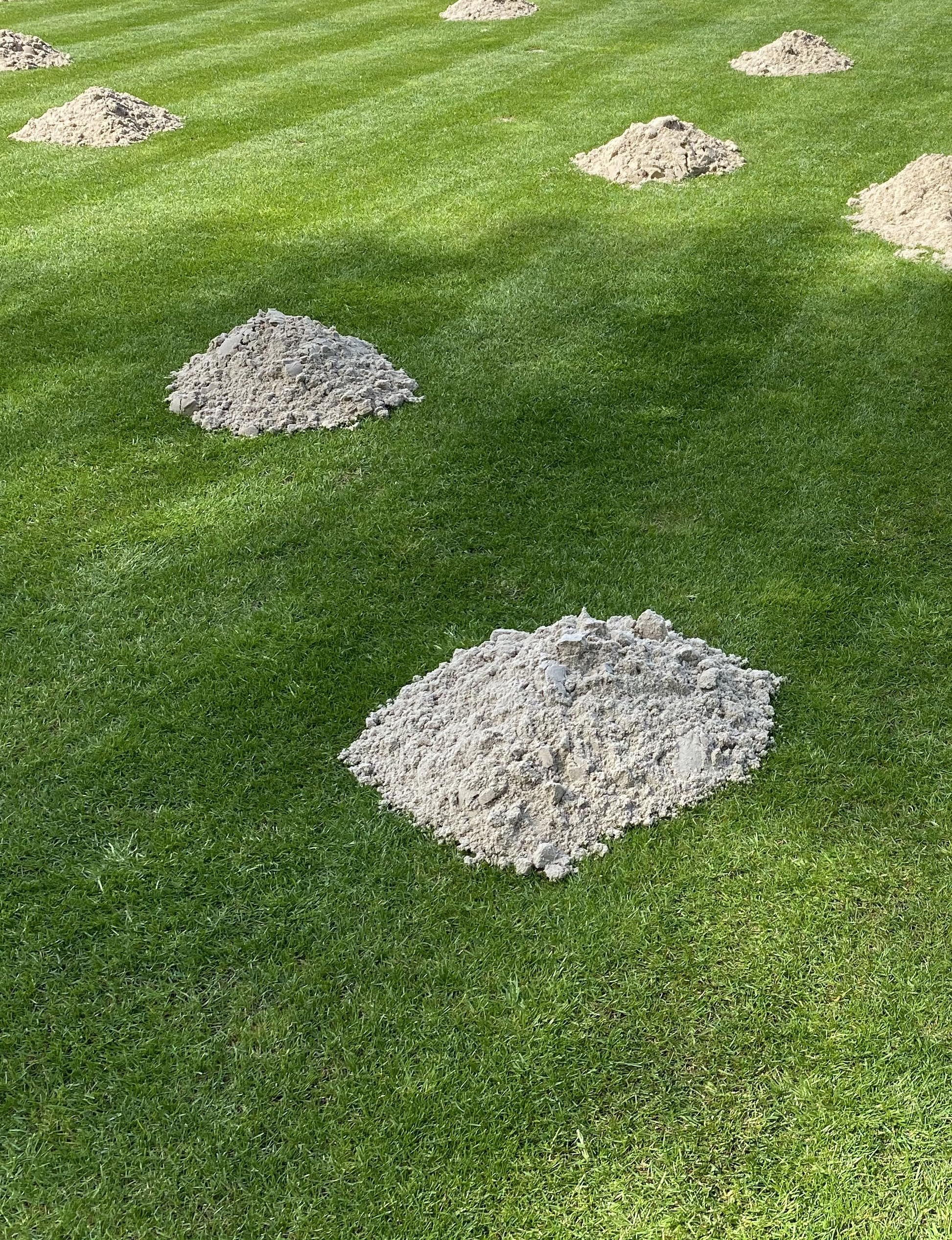 feuergetrockneter Rasensand 0,2-2mm | Quarzsand zum Rasensand | Rasensand für Tropdressing und Aerifizieren | (500 kg)