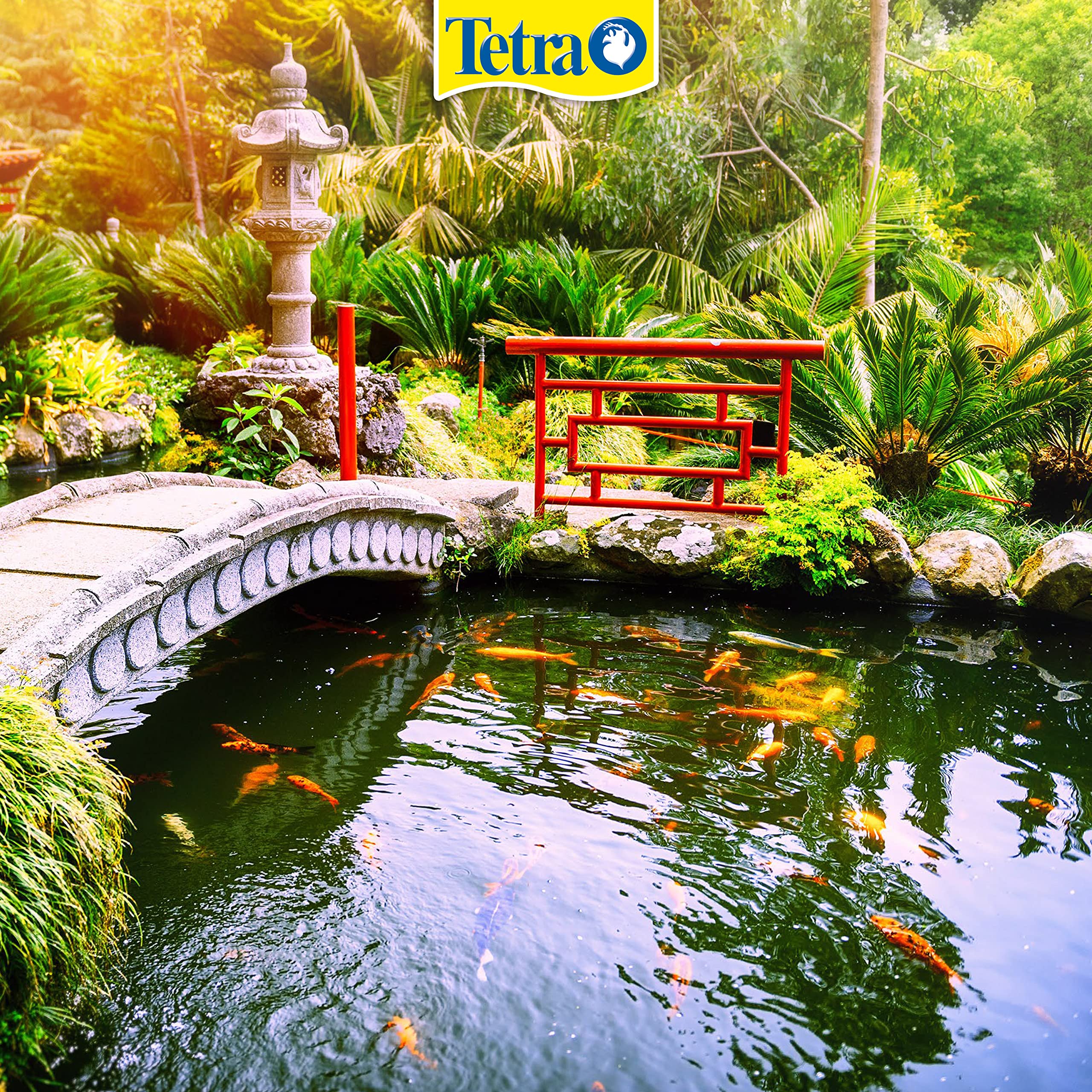 Tetra Pond Fish Net Épuisette à Poisson Stable avec Manche télescopique pour Une Prise sûre des Poissons de Bassin de Jardin