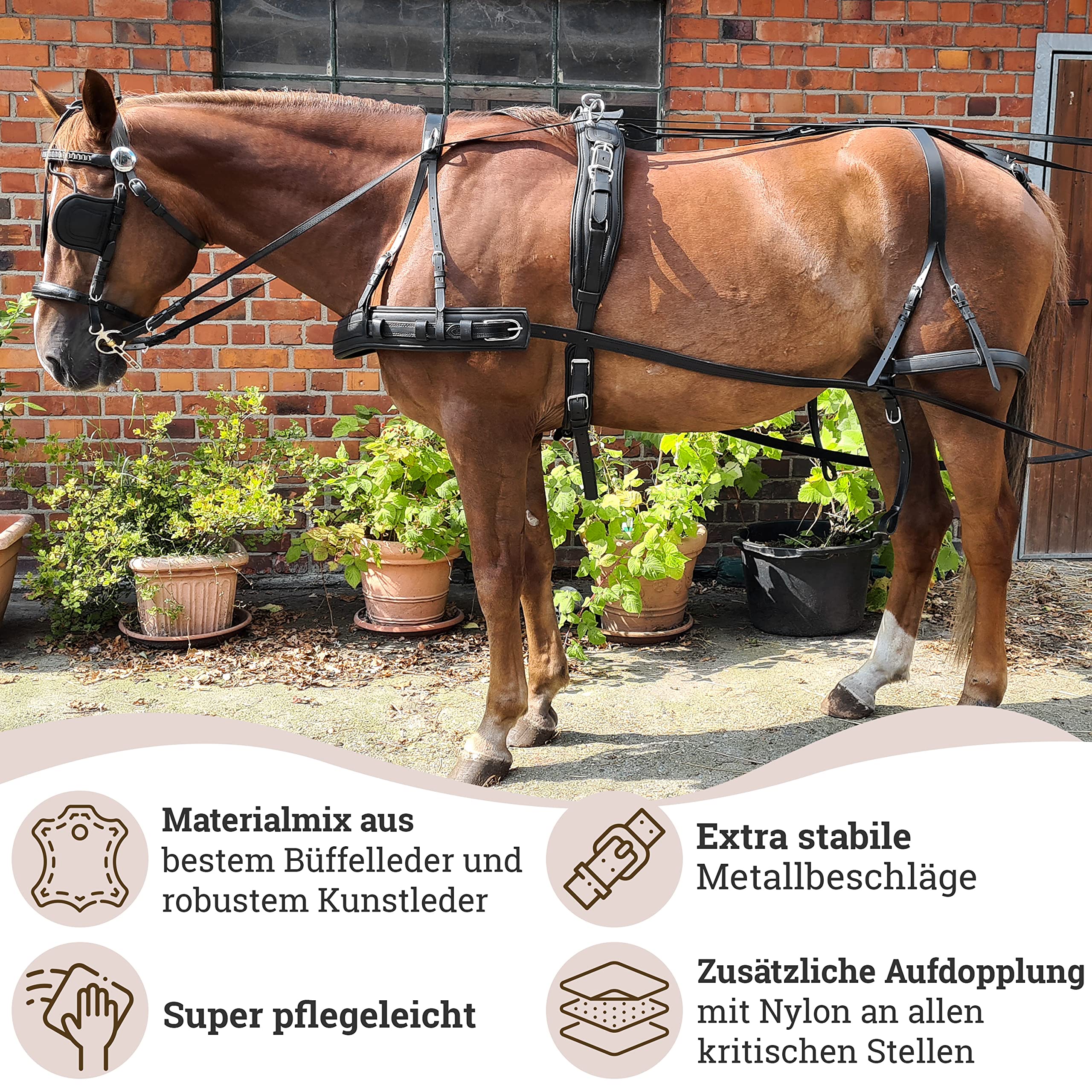 Groupe pour chambre froide SICAF monobloc à cheval de +5°C à -5 pour