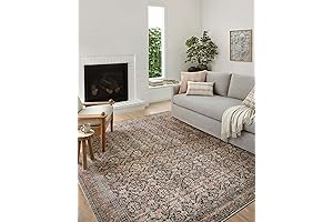 Loloi Cloudpile: Amber Lewis x Billie Ink/Salmon Area Rug