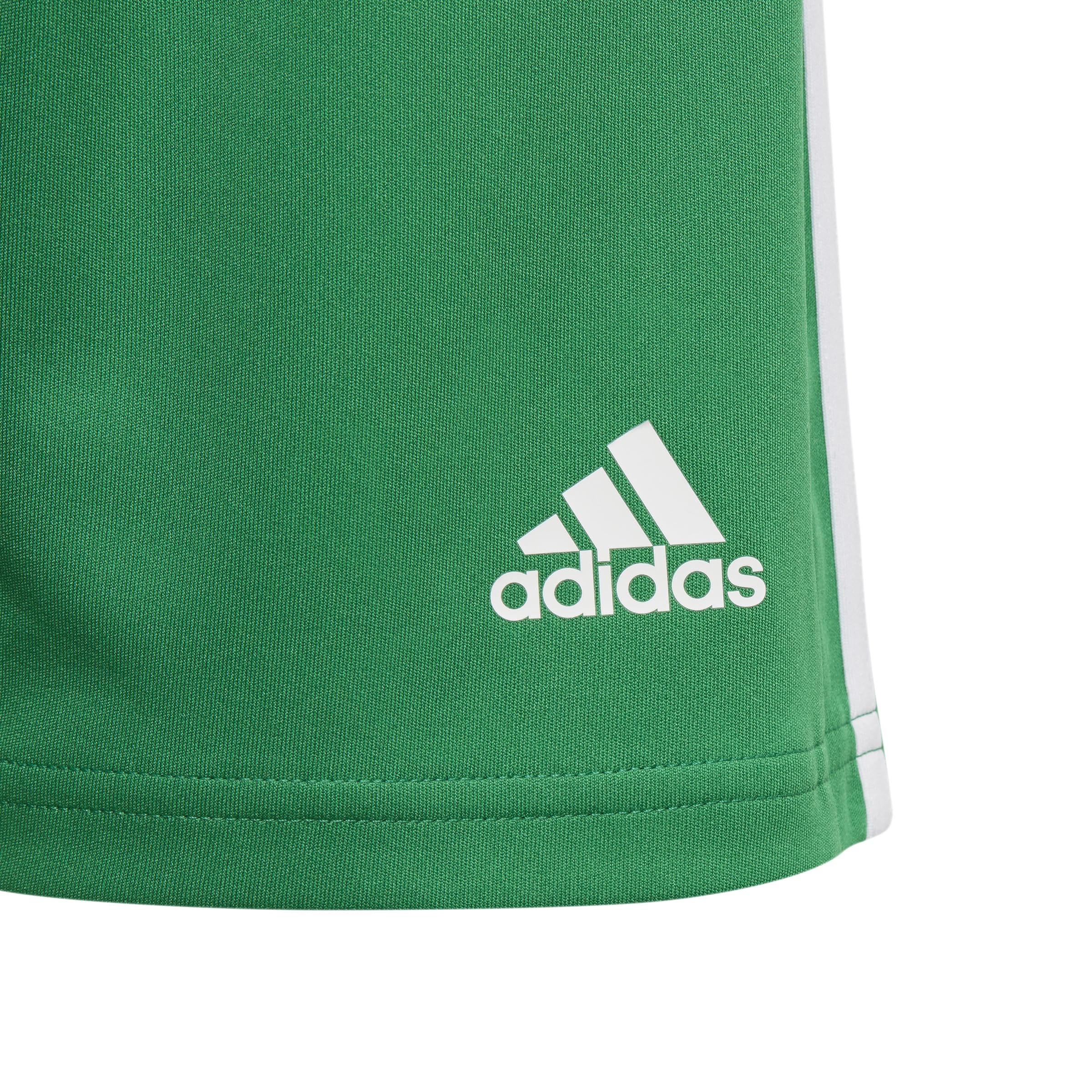 adidas Boys' Squadra 21 Shorts, Team Green/White, X-Large