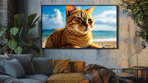 Jazz relaxant pour chats - Chatons joueurs et mélodies douces – vue 9