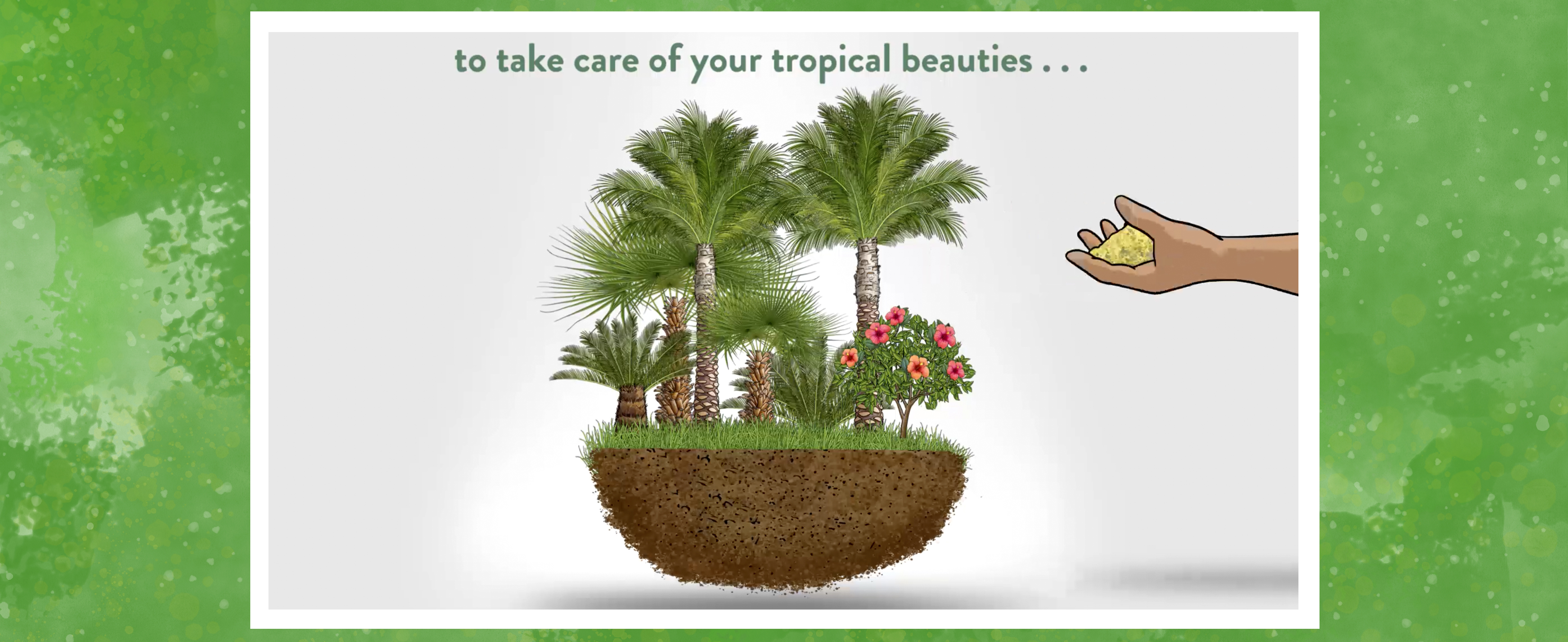 Amazon.com : Down To Earth All Natural Fertilizers Organic Palm Tree - Plant  Food for Palms, Cycads, Exotic and Tropical Plants 6-2-8, 5 lb : Patio,  Lawn & Garden