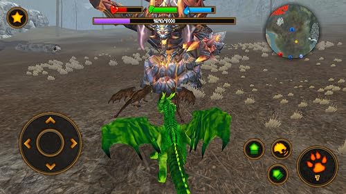 Clan of Dragons